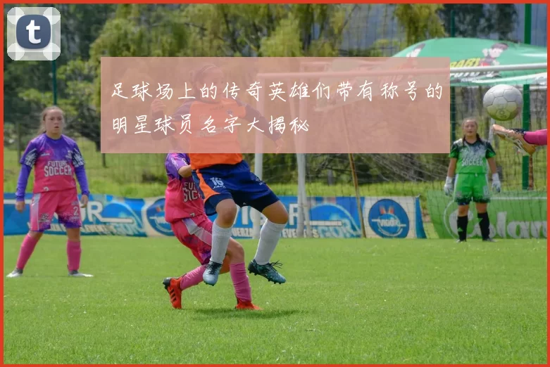 足球场上的传奇英雄们带有称号的明星球员名字大揭秘