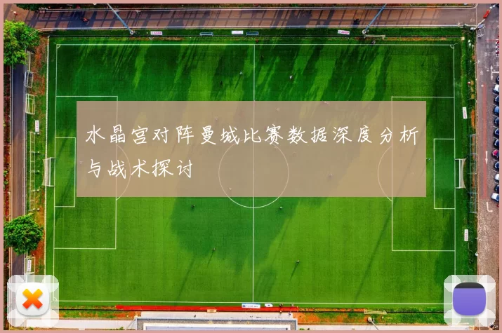 水晶宫对阵曼城比赛数据深度分析与战术探讨