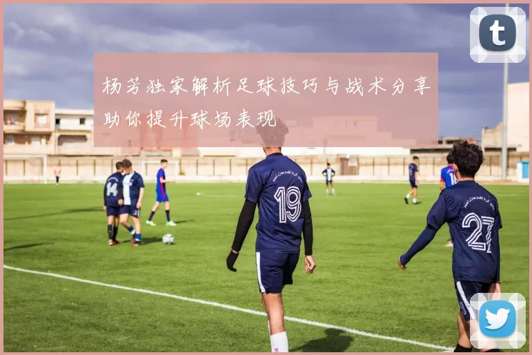 杨芳独家解析足球技巧与战术分享助你提升球场表现