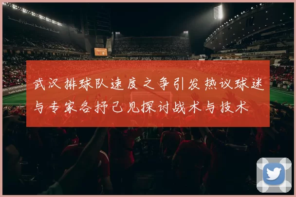 武汉排球队速度之争引发热议球迷与专家各抒己见探讨战术与技术
