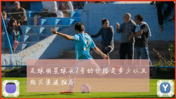足球明星球衣2号的价格是多少以及购买渠道推荐