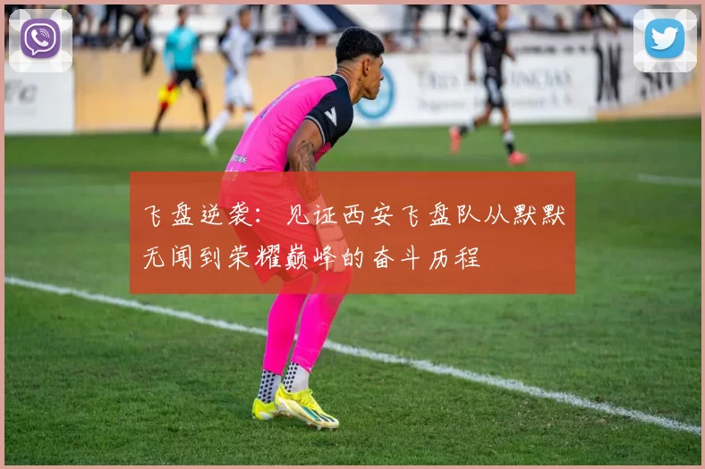 飞盘逆袭：见证西安飞盘队从默默无闻到荣耀巅峰的奋斗历程
