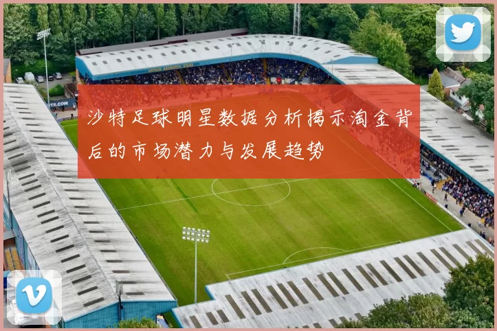 沙特足球明星数据分析揭示淘金背后的市场潜力与发展趋势