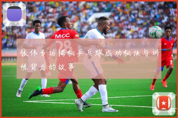 张伟专访揭秘乒乓球成功秘诀与训练背后的故事