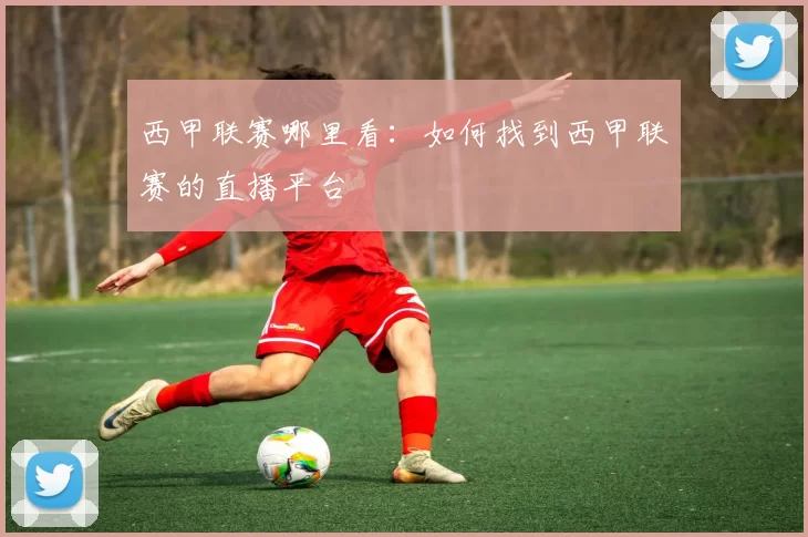 西甲联赛哪里看：如何找到西甲联赛的直播平台