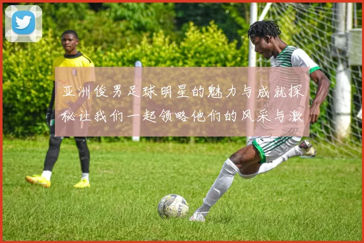 亚洲俊男足球明星的魅力与成就探秘让我们一起领略他们的风采与激情