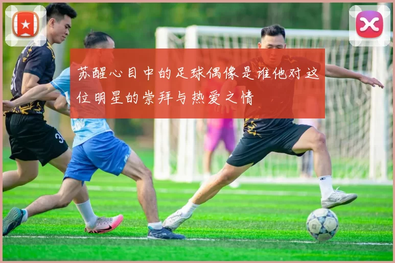 苏醒心目中的足球偶像是谁他对这位明星的崇拜与热爱之情