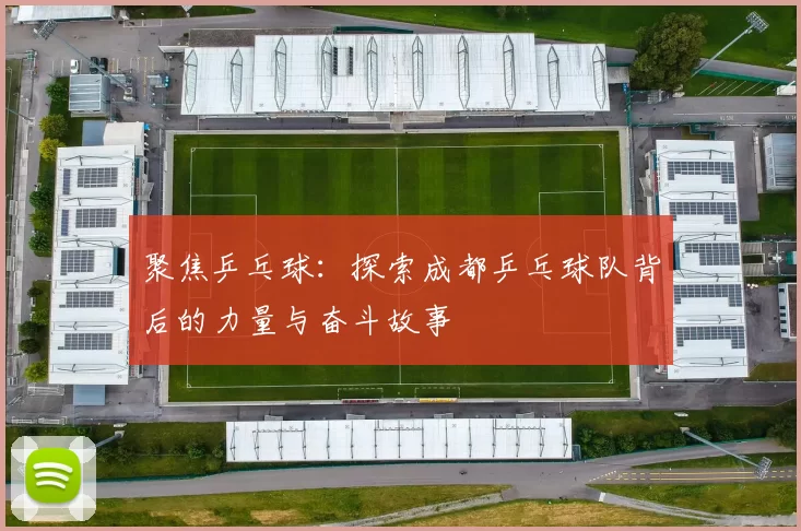 聚焦乒乓球：探索成都乒乓球队背后的力量与奋斗故事