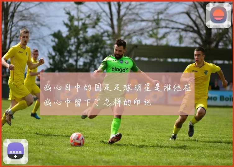 我心目中的国足足球明星是谁他在我心中留下了怎样的印记