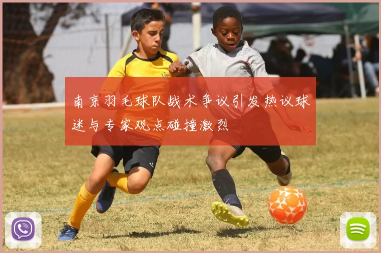 南京羽毛球队战术争议引发热议球迷与专家观点碰撞激烈
