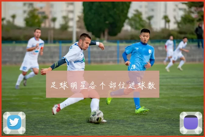 足球明星各个部位进球数