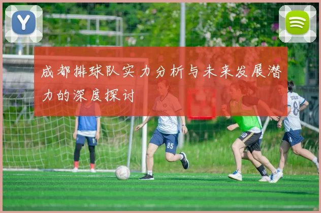 成都排球队实力分析与未来发展潜力的深度探讨