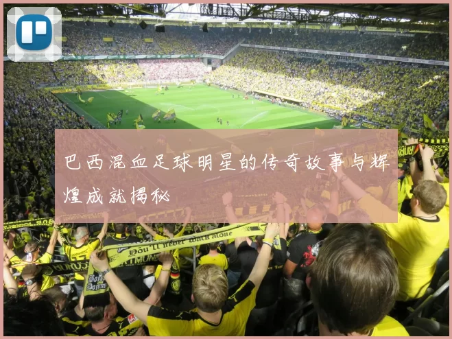 巴西混血足球明星的传奇故事与辉煌成就揭秘