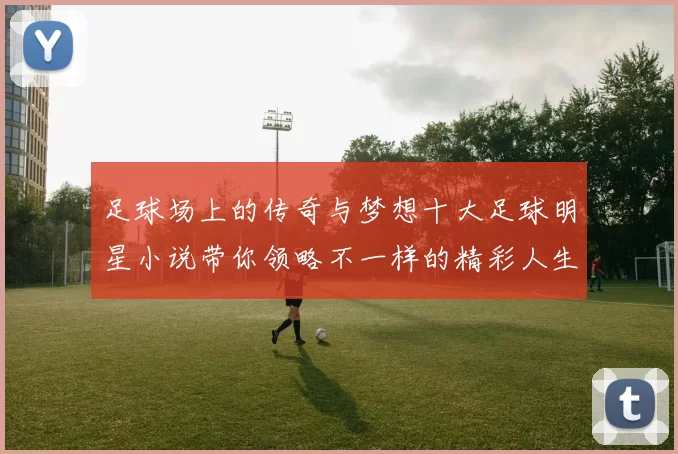 足球场上的传奇与梦想十大足球明星小说带你领略不一样的精彩人生