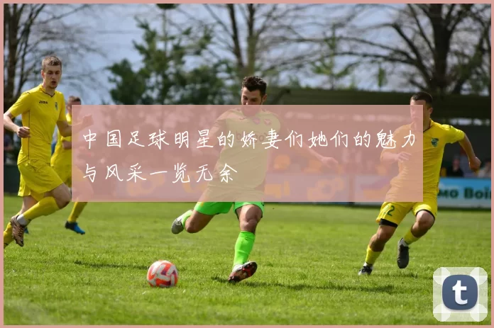 中国足球明星的娇妻们她们的魅力与风采一览无余