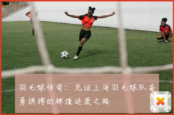 羽毛球传奇：见证上海羽毛球队奋勇拼搏的辉煌逆袭之路