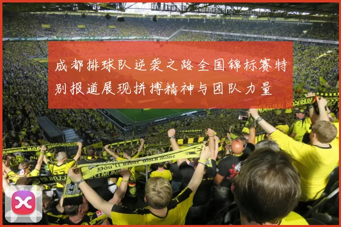 成都排球队逆袭之路全国锦标赛特别报道展现拼搏精神与团队力量