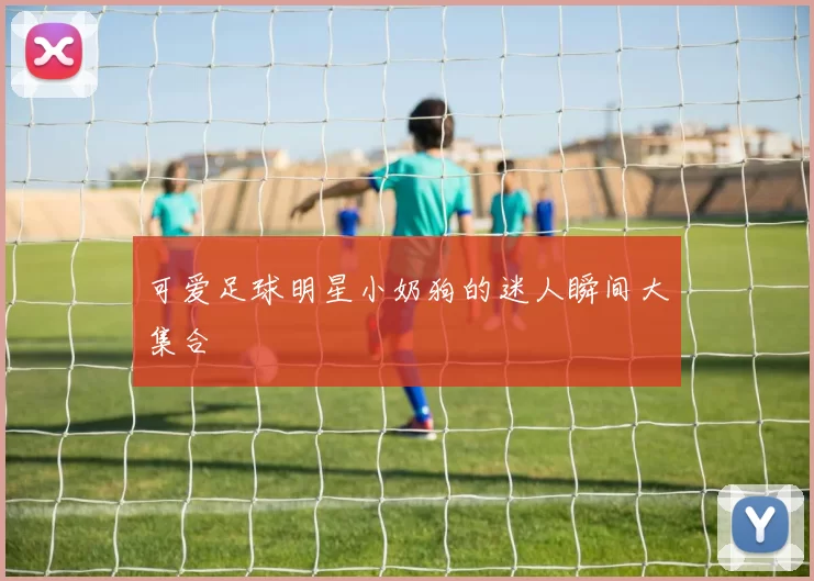 可爱足球明星小奶狗的迷人瞬间大集合