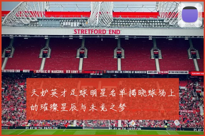 天妒英才足球明星名单揭晓球场上的璀璨星辰与未竟之梦