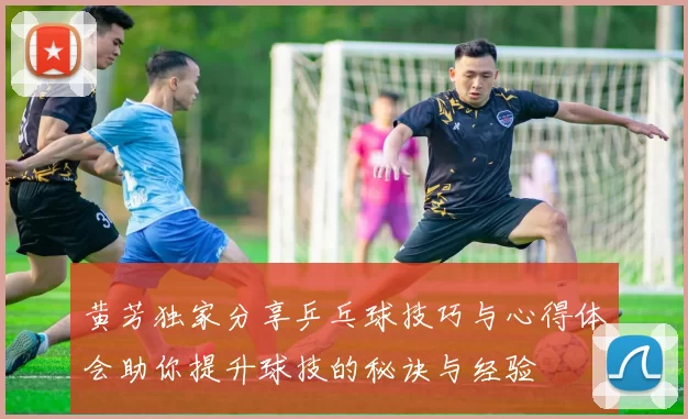 黄芳独家分享乒乓球技巧与心得体会助你提升球技的秘诀与经验