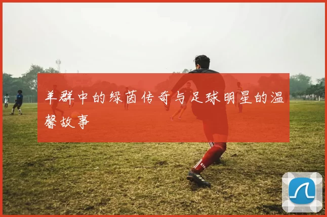 羊群中的绿茵传奇与足球明星的温馨故事