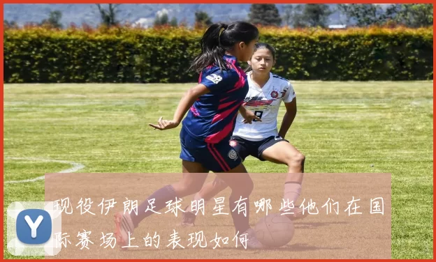 现役伊朗足球明星有哪些他们在国际赛场上的表现如何